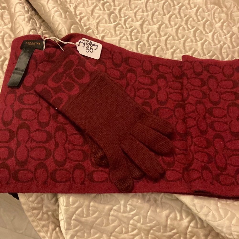 Scarf and gloves